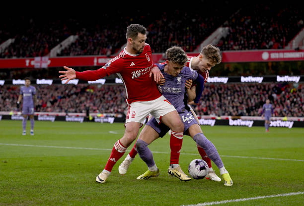 保守選擇 保守選擇